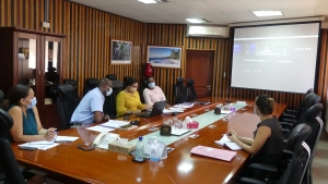 Virtual Meeting in progress